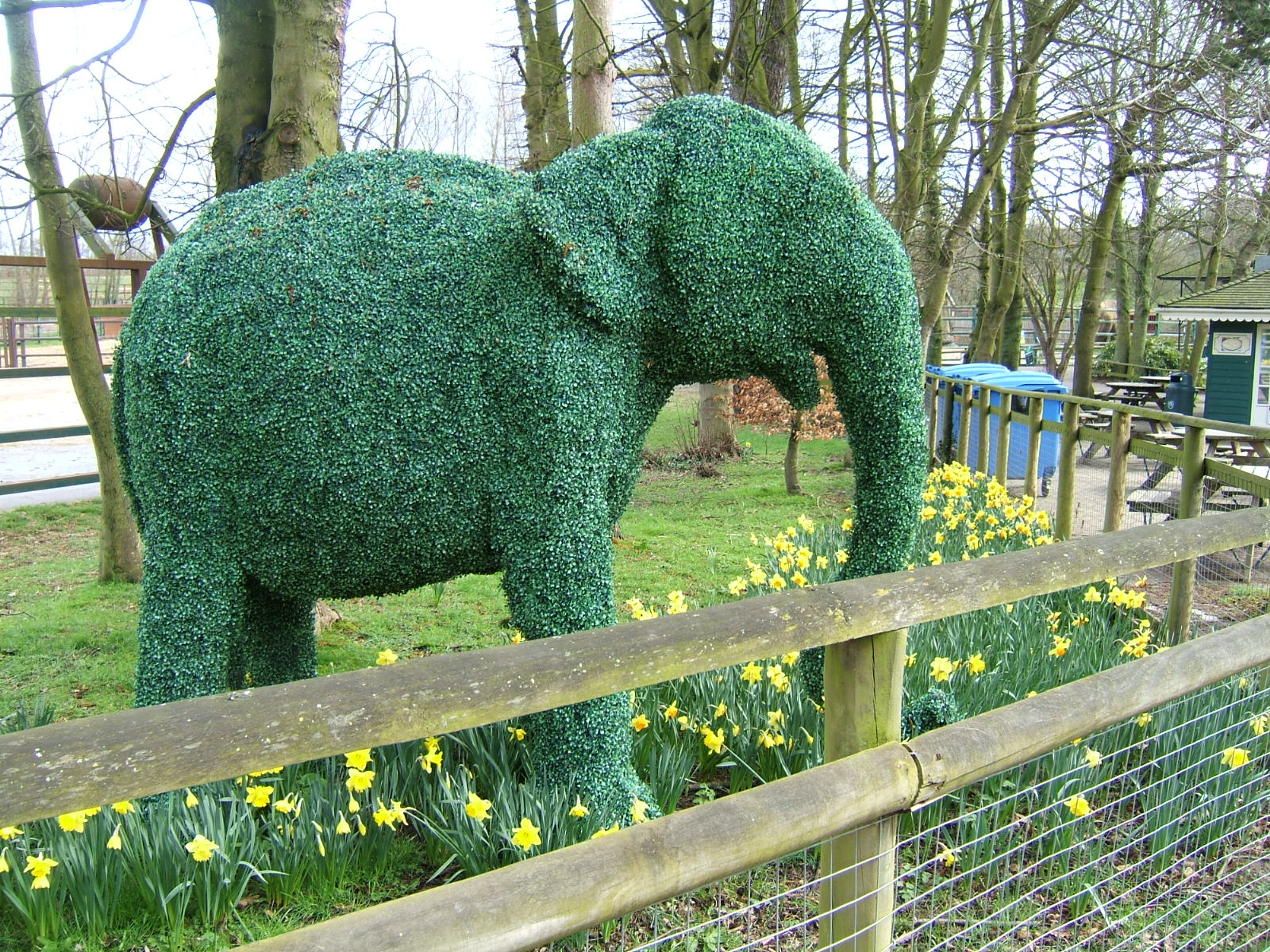 Elephant topiary near African elephant enclosure at Howletts Wild Animal Pa