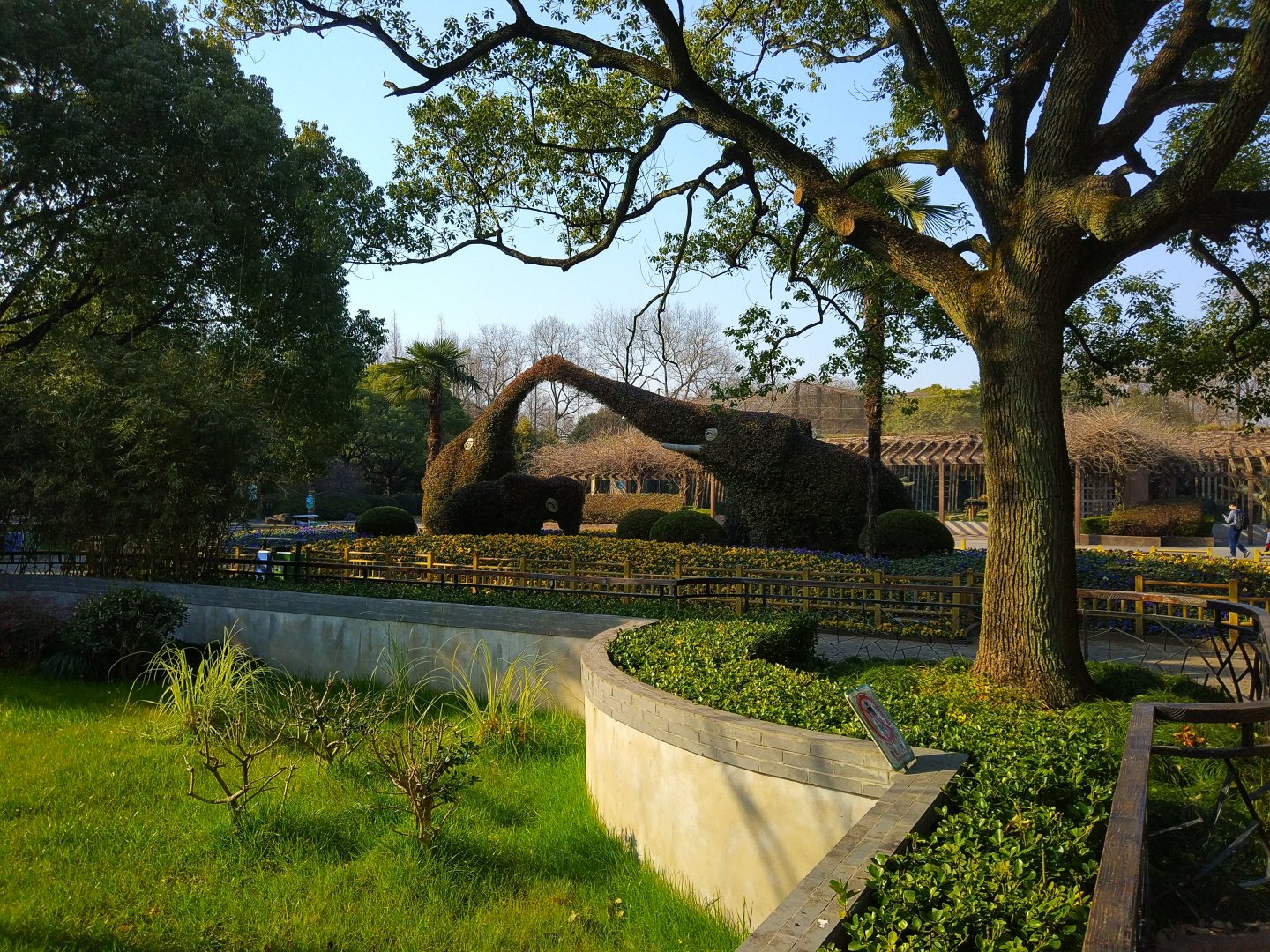 Elephant Topiary