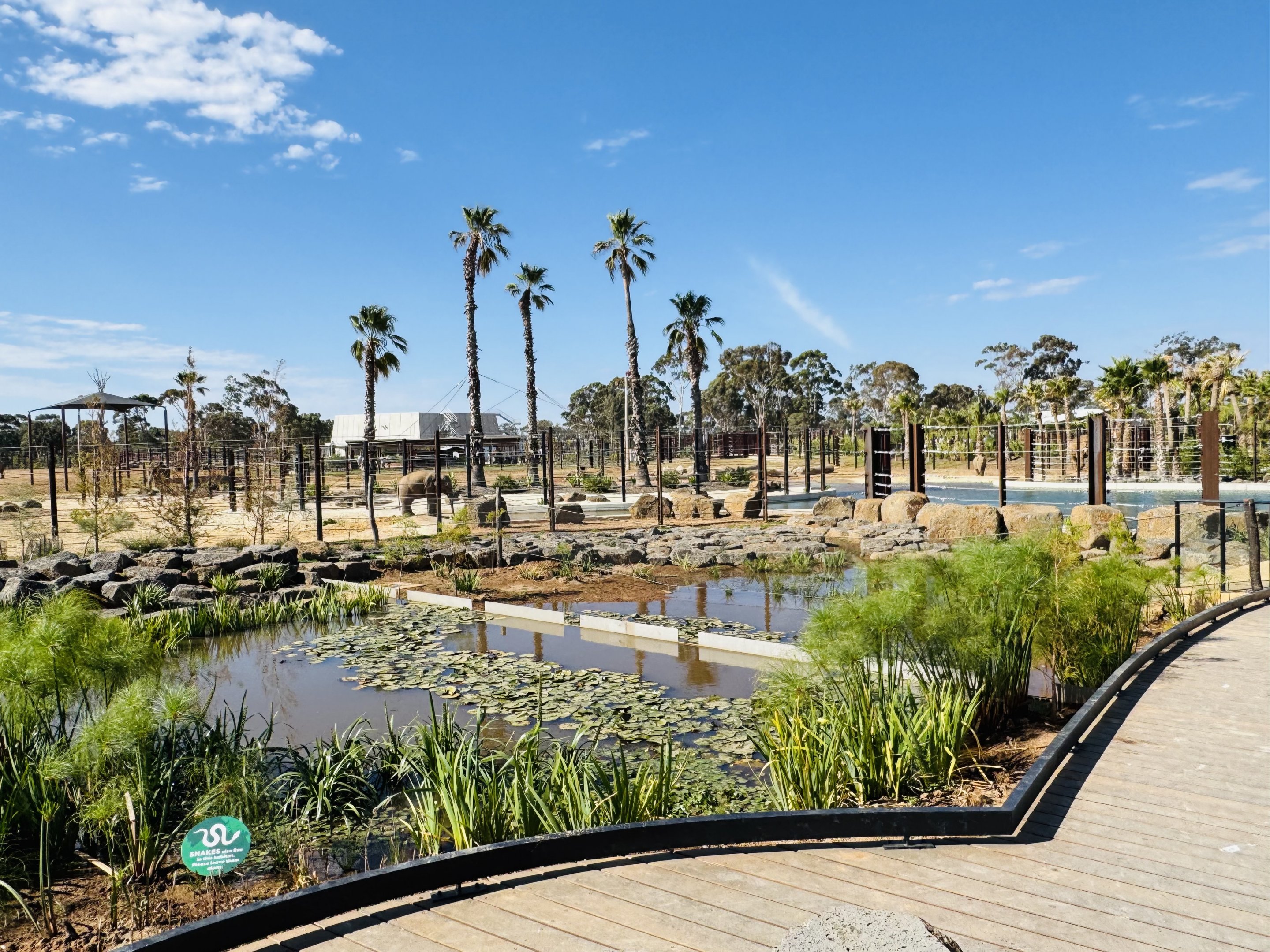 Elephant Trail (New): general landscaping of main elephant enclosure