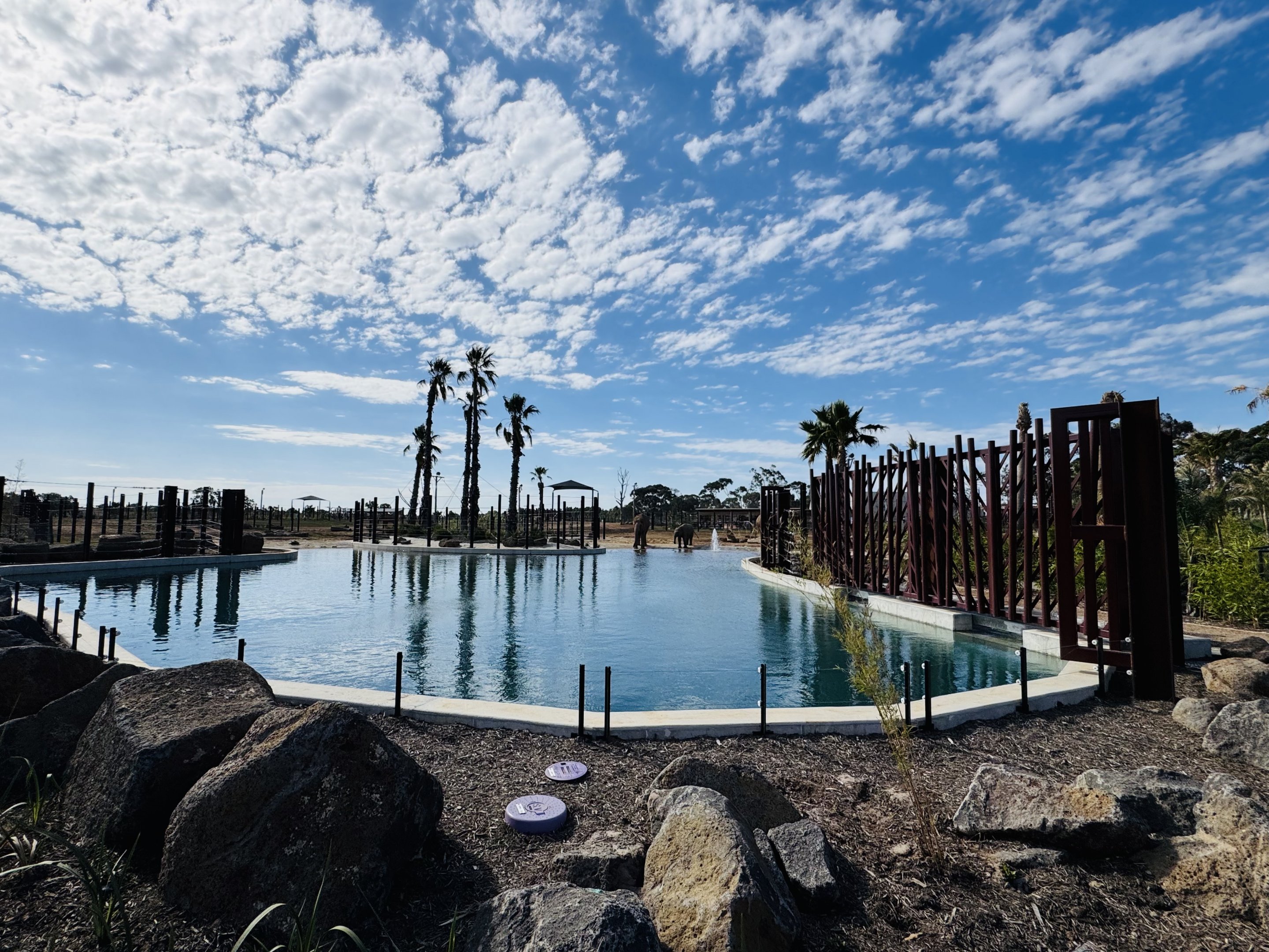 Elephant Trail (New): main elephant enclosure pool