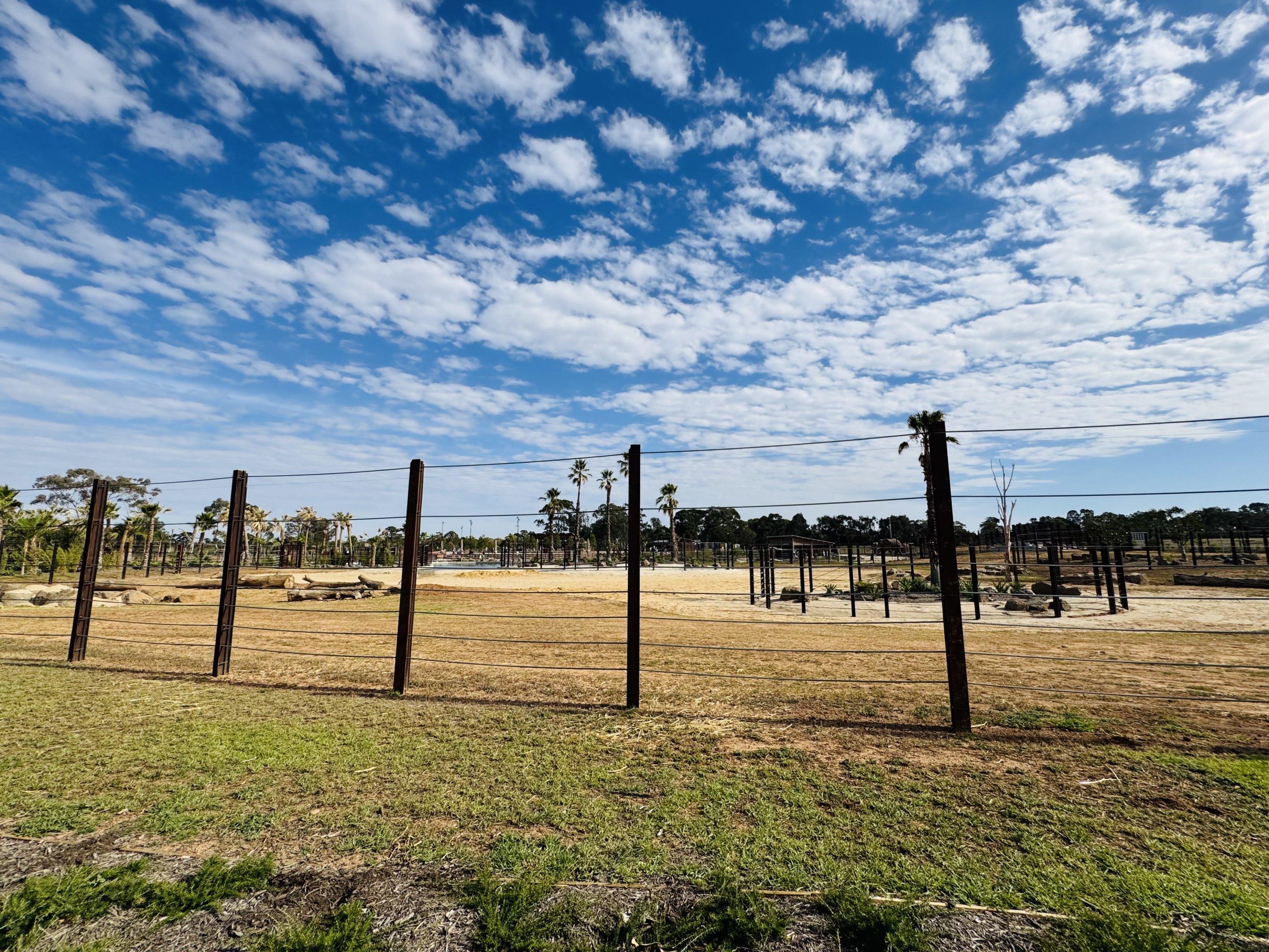Elephant Trail (New): main elephant enclosure