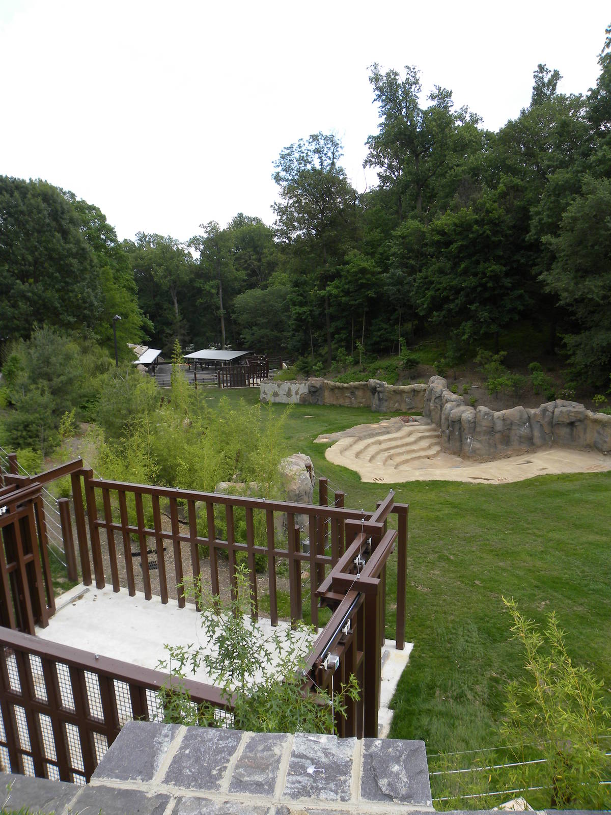 Elephant Trail Progress