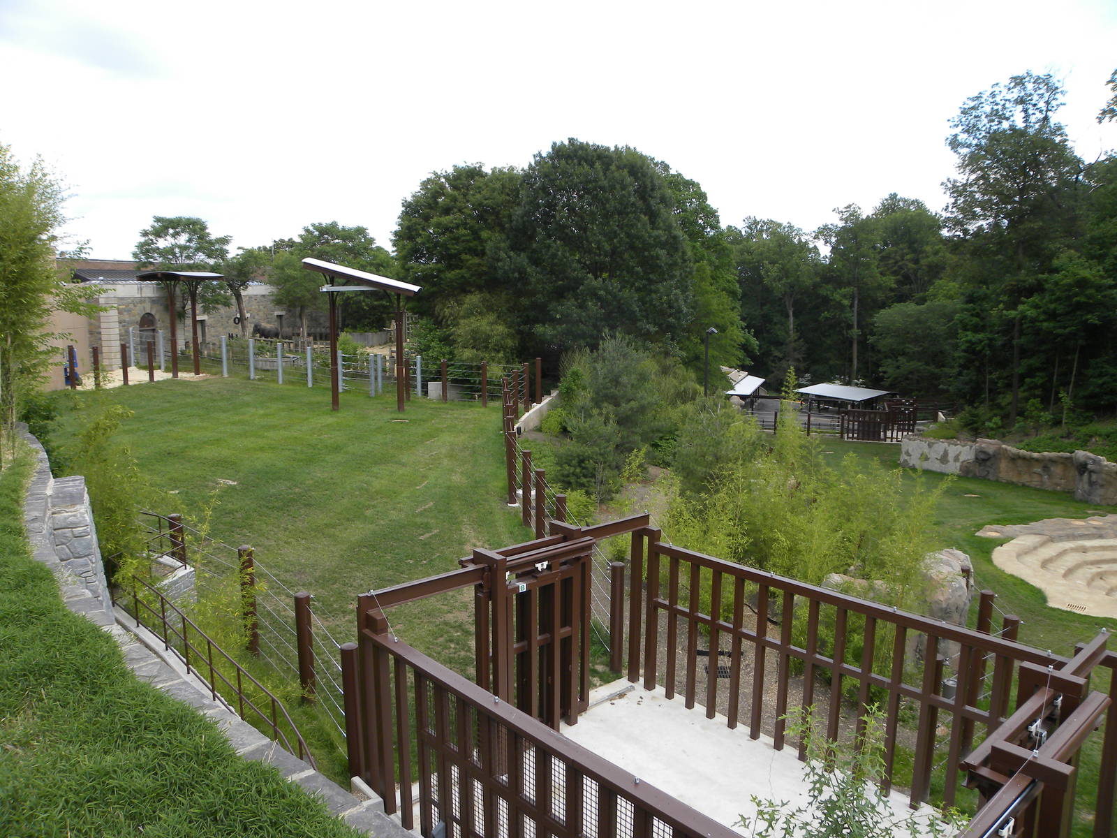 Elephant Trail Progress