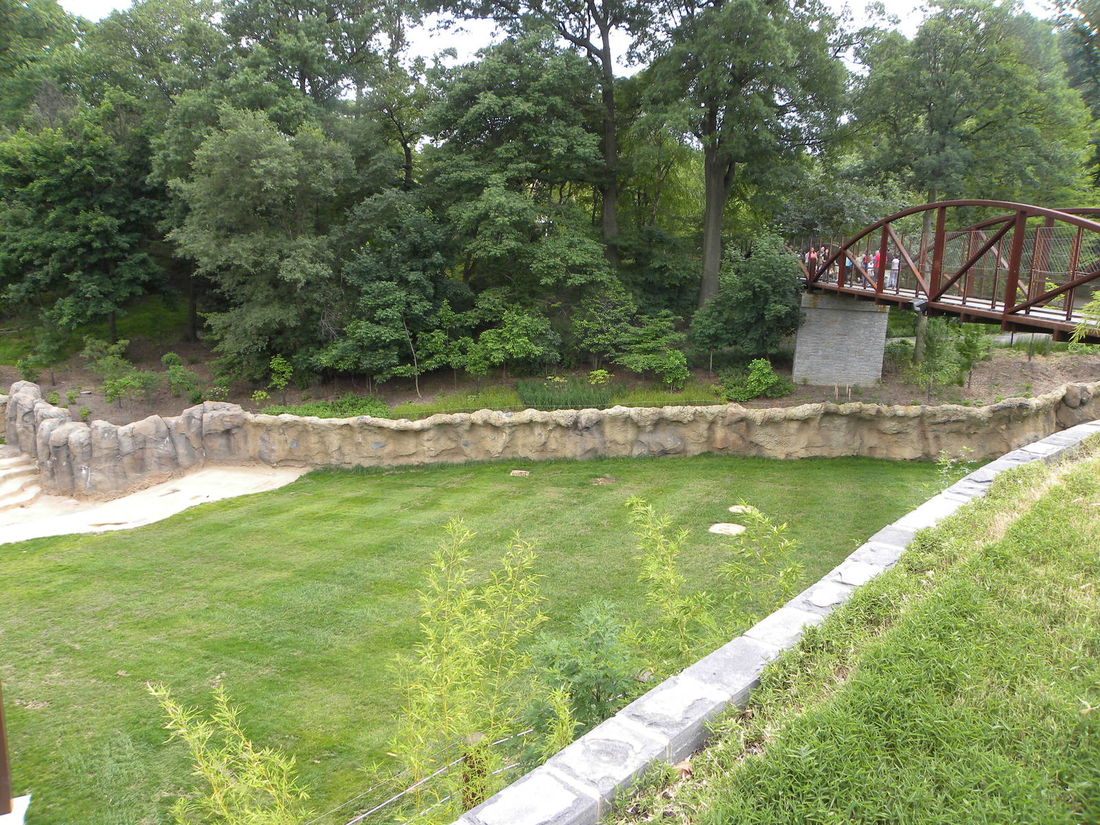 Elephant Trail Progress