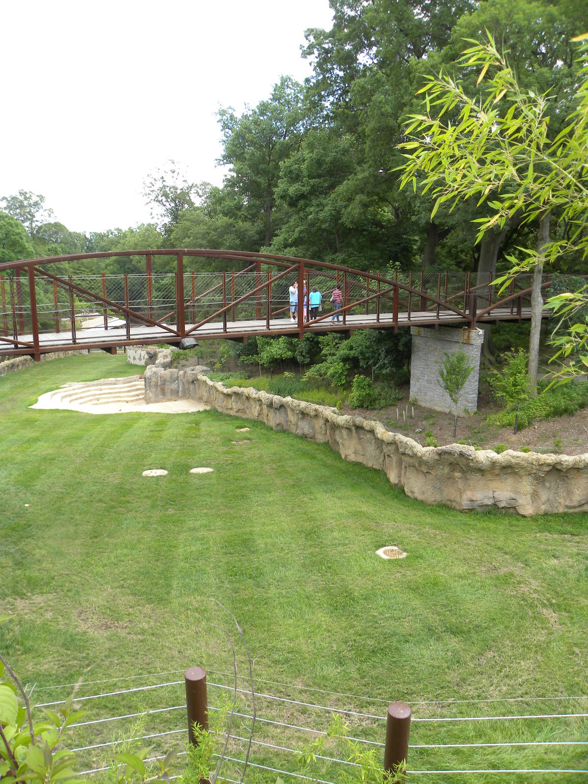 Elephant Trail Progress