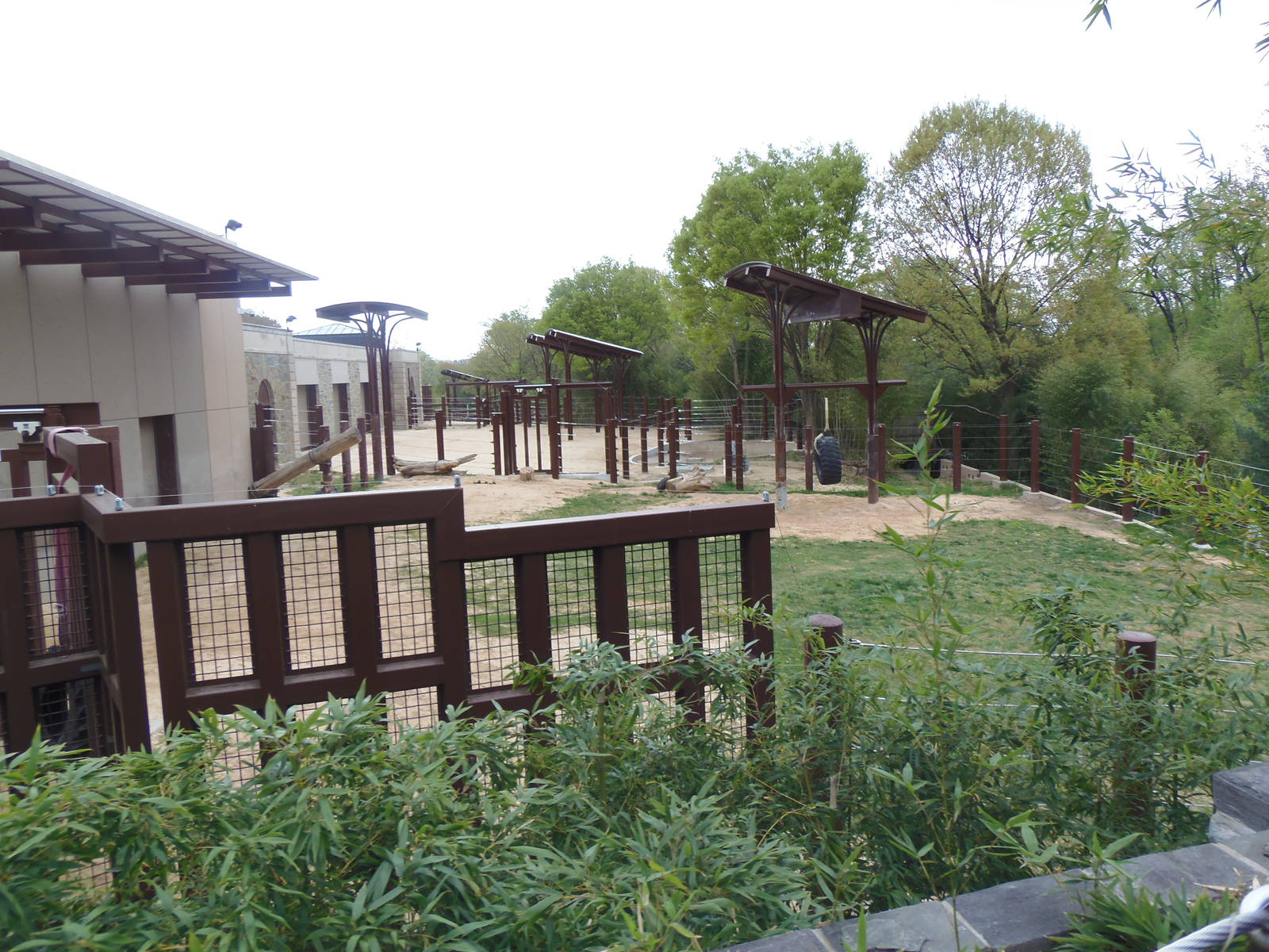 Elephant Trails- Elephant Yard