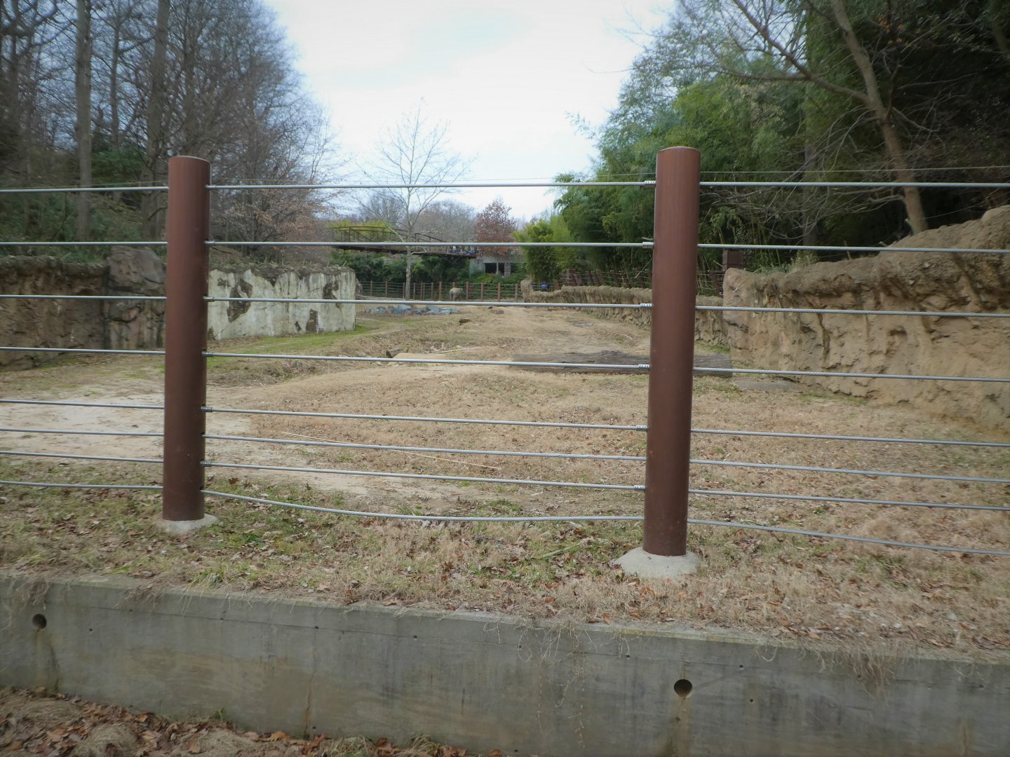 Elephant Trails - Indian Elephant, Sri Lankan Elephant Exhibit