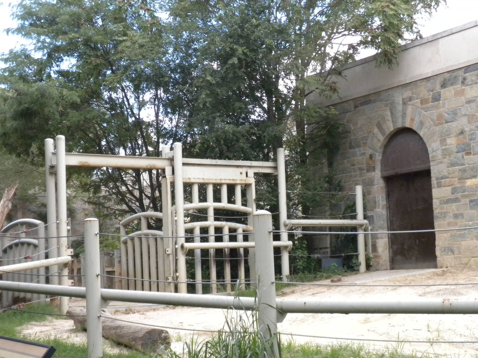 Elephant Trails - Old Elephant Yard