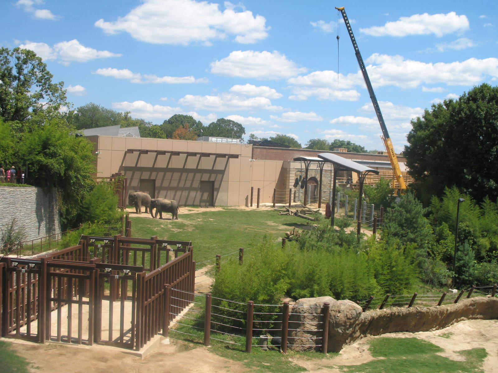 Elephant Trails-Summer 2011