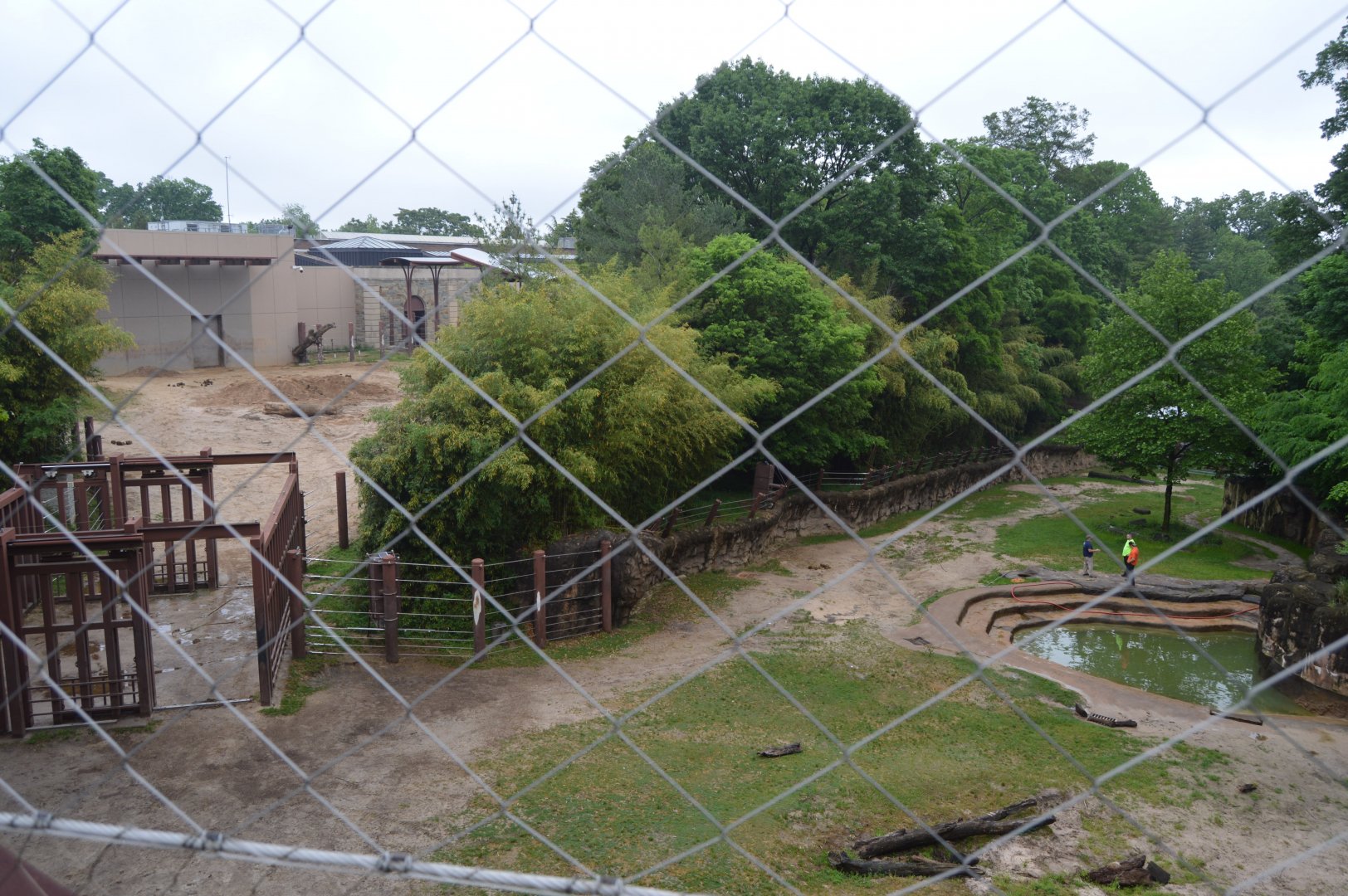 Elephant Trails - View of Asian Elephant (Elephas maximus) Habitats