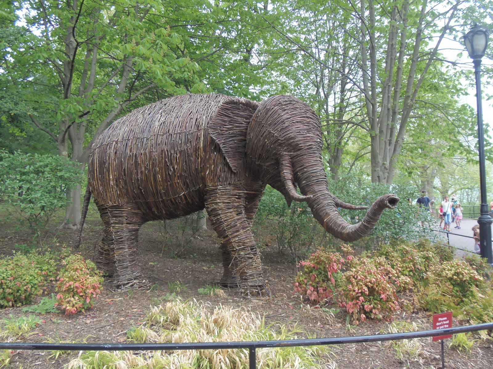 Elephant Trails- Willow Branch Elephant Bull