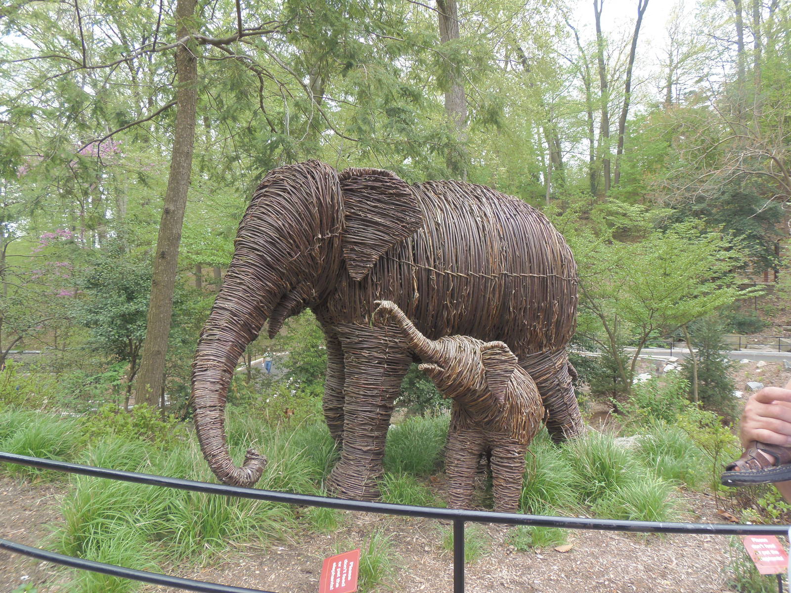 Elephant Trails- Willow Branch Elephant Mom and Calf