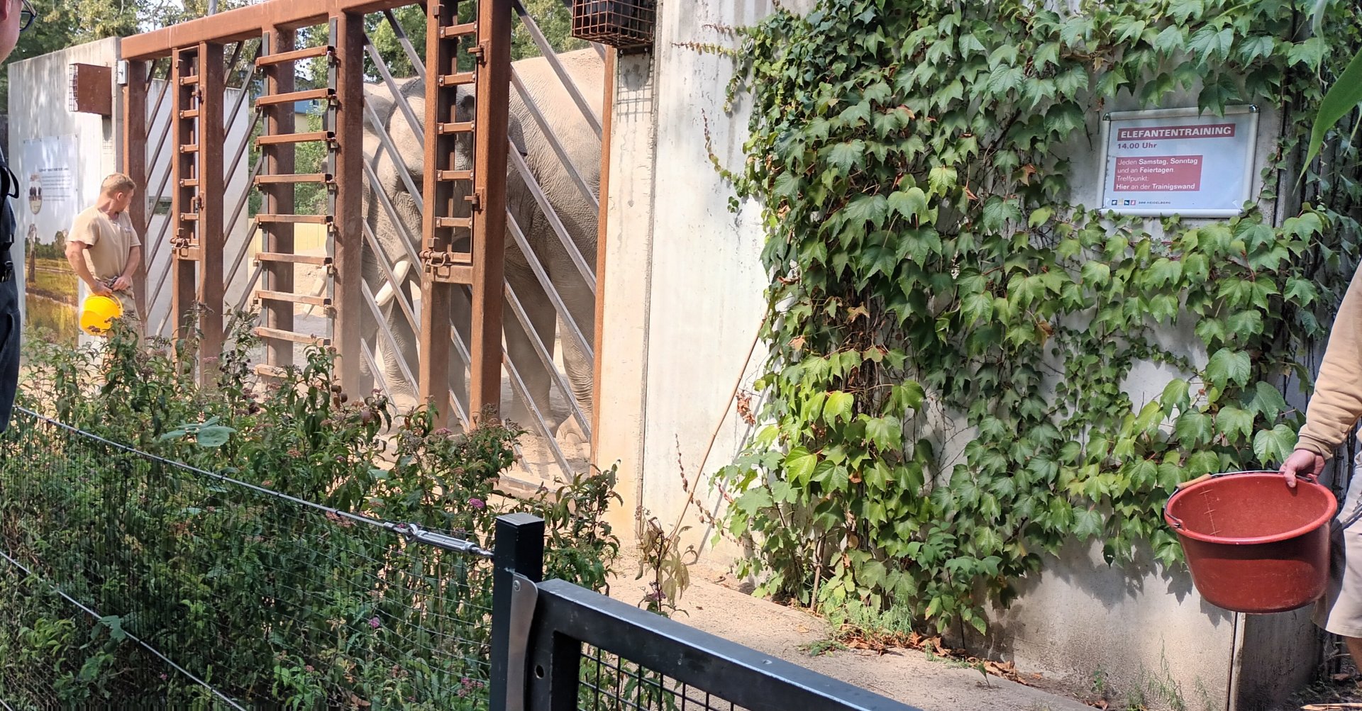 Elephant training wall