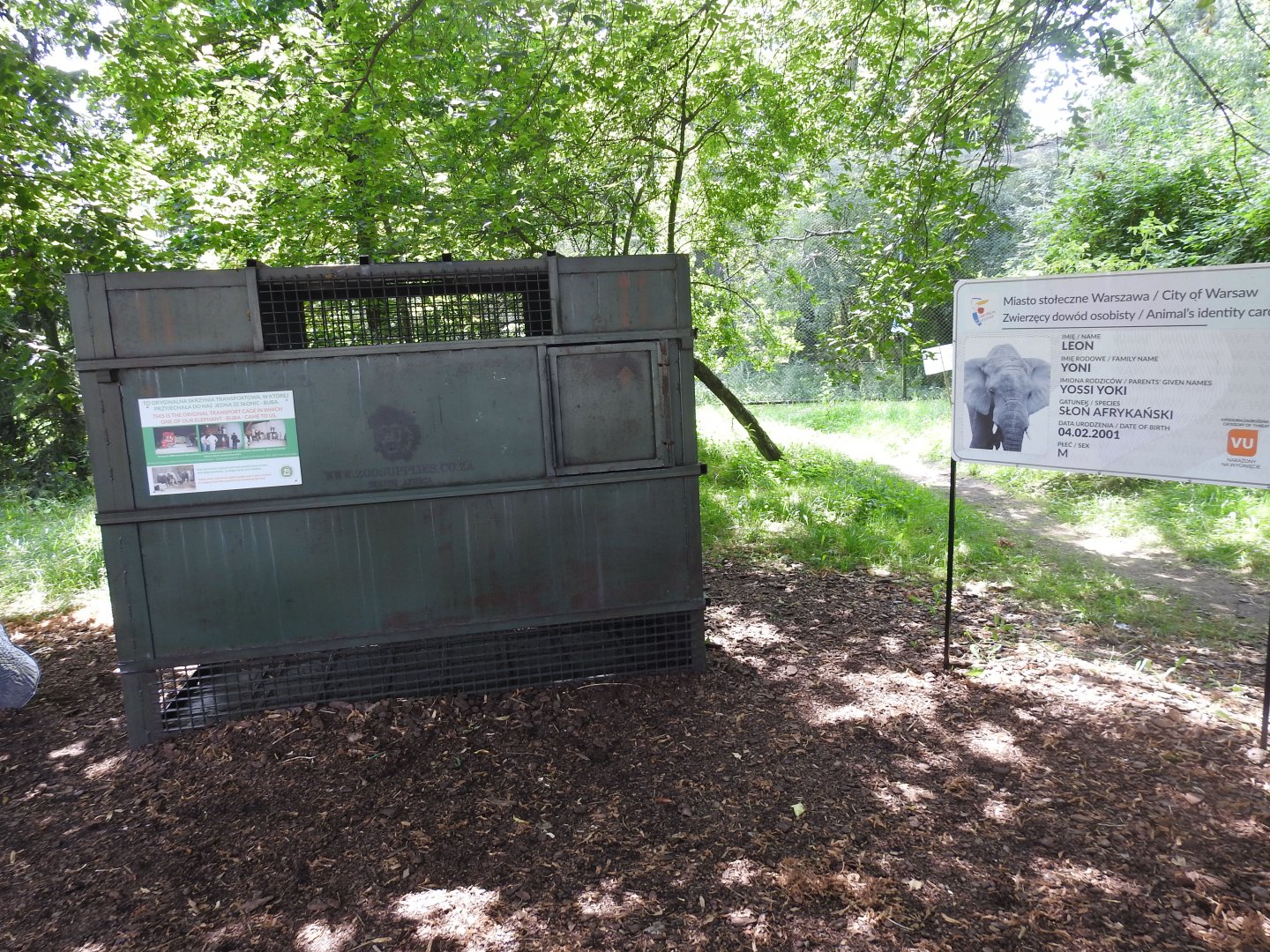 elephant transport cage
