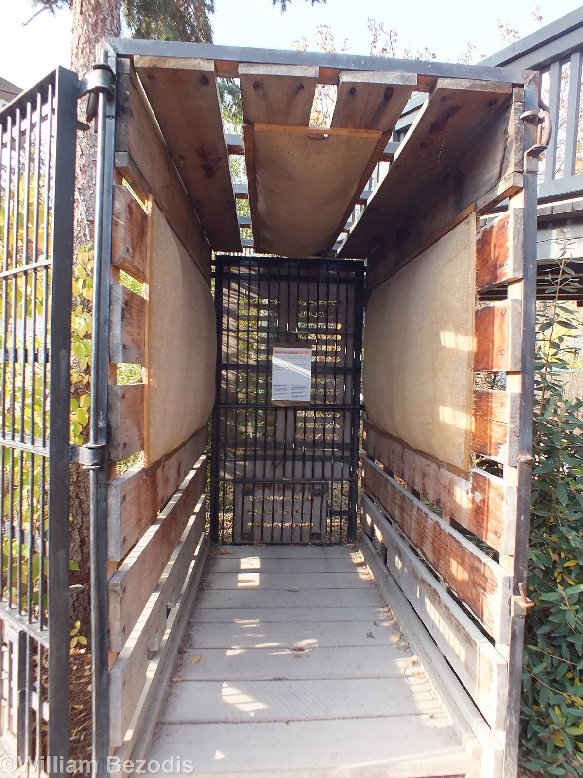 Elephant travel Crate