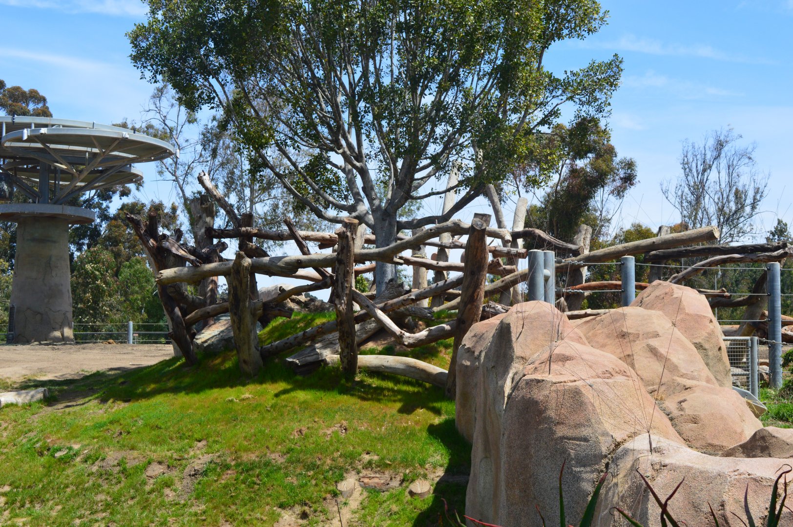 Elephant Tree-protection