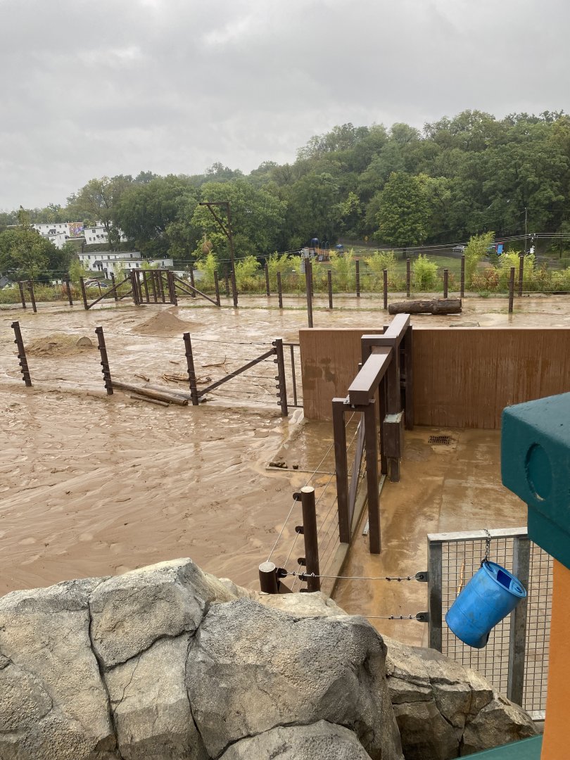 Elephant Trek Backstage Yards