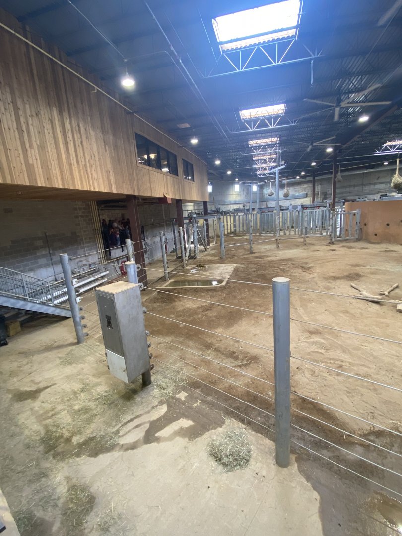 Elephant Trek Barn Main Room