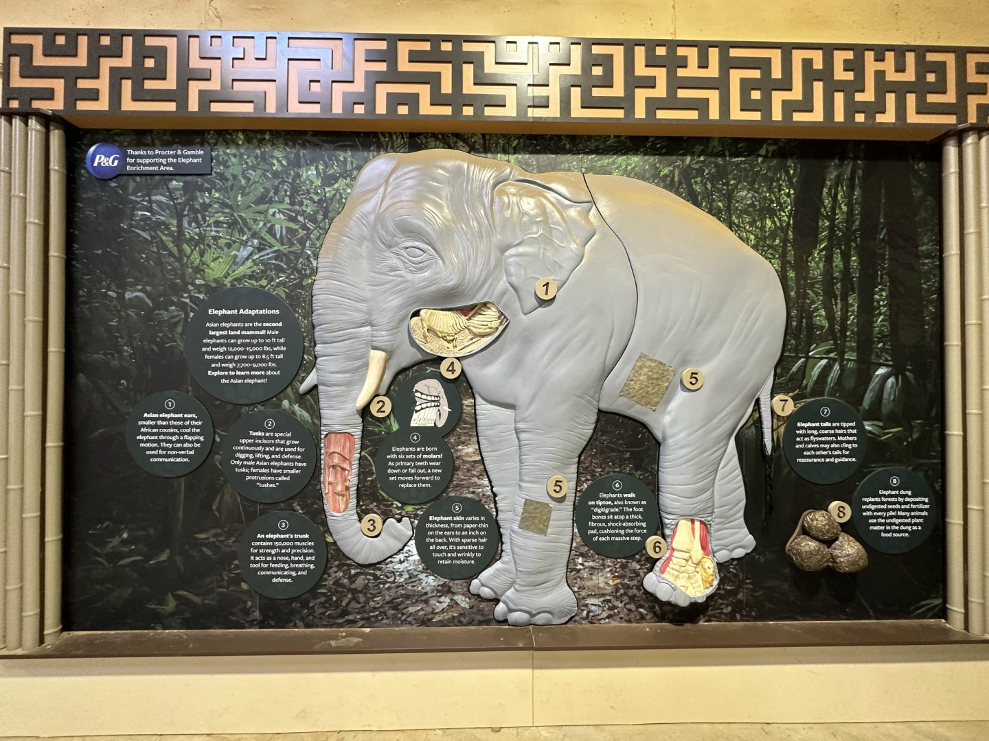Elephant Trek Signage