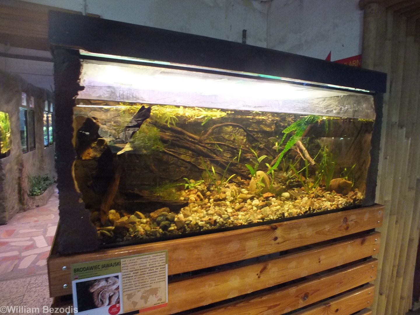 Elephant Trunk Snake Enclosure - Wroclaw Zoo Terrarium