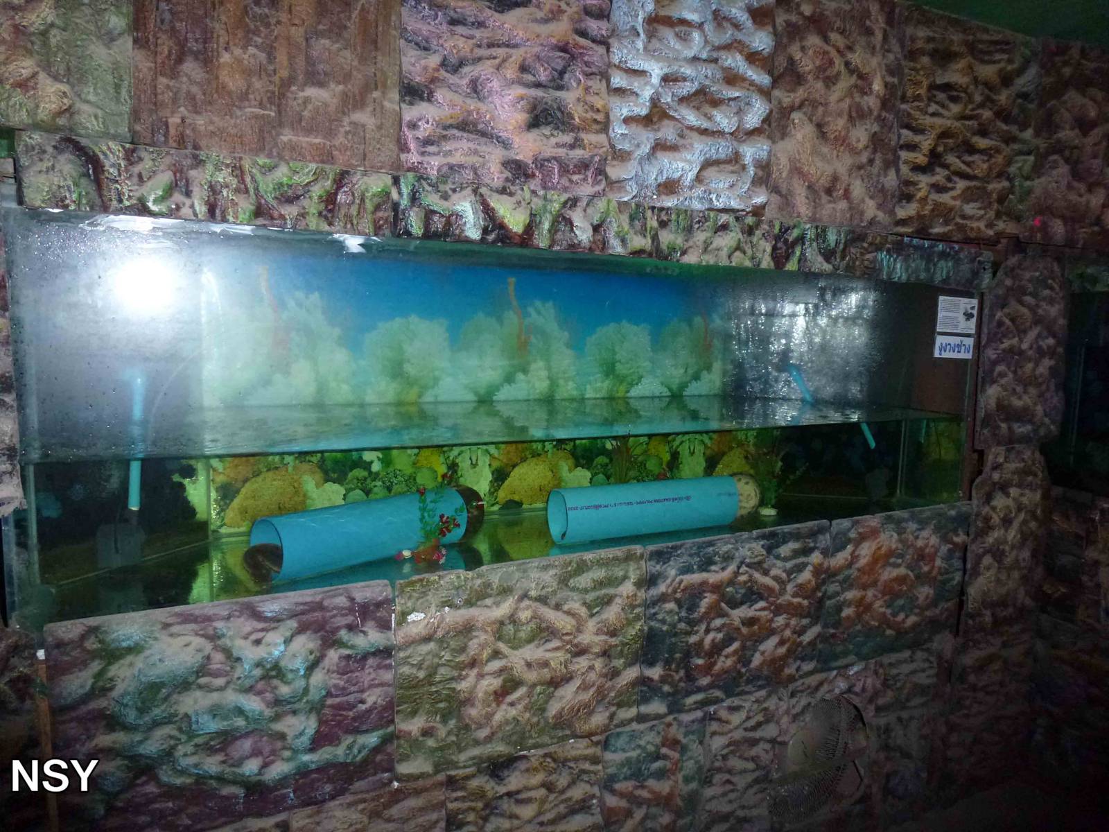 Elephant trunk snake tank, June 2013.