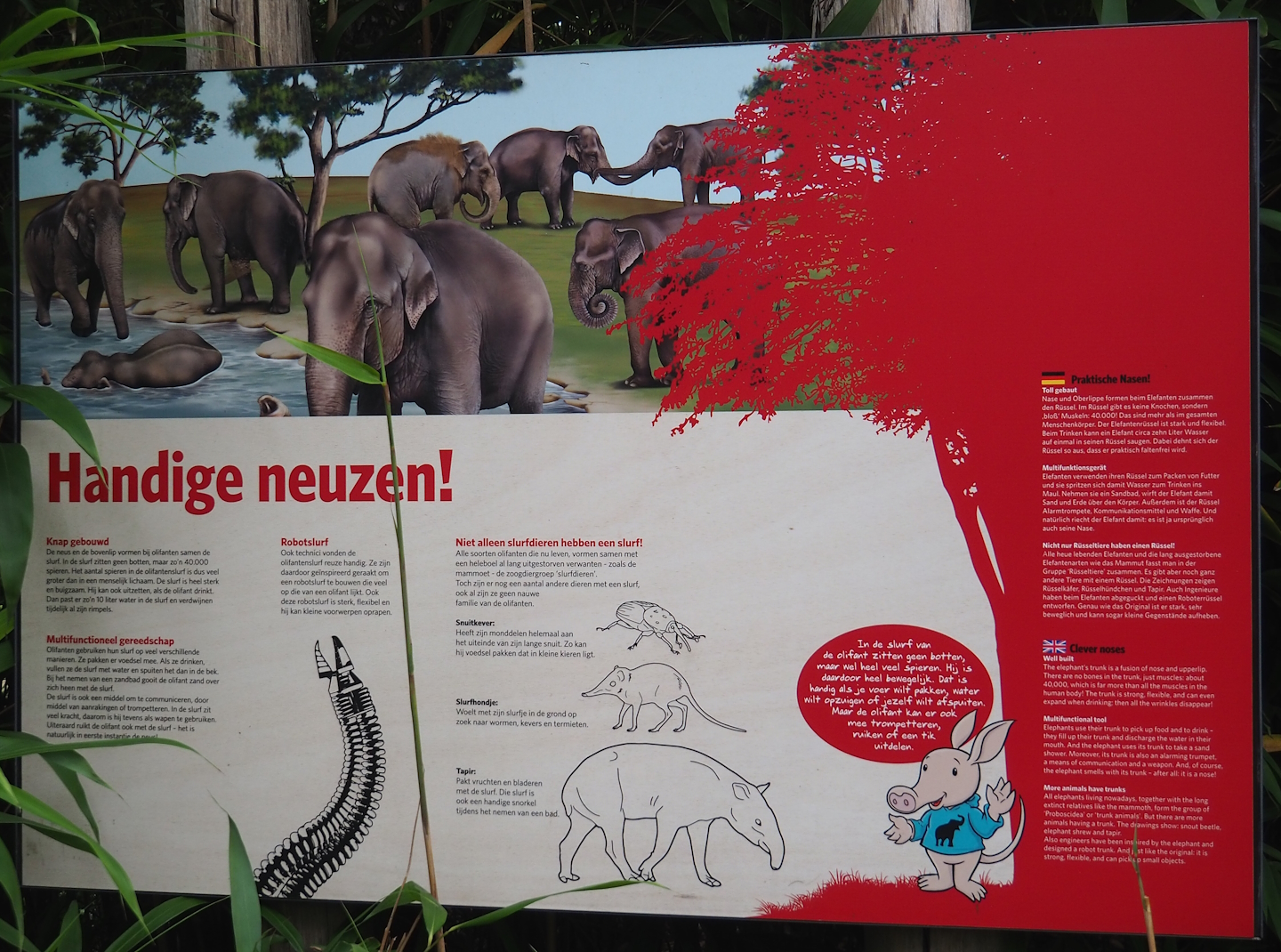 Elephant trunks and other animals with trunks signage, 2023-10-07
