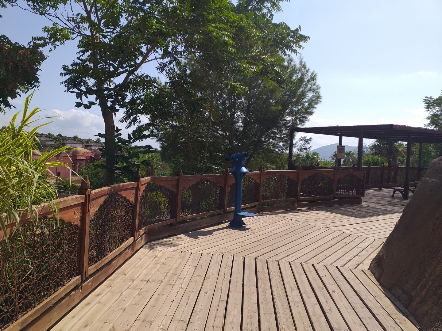 Elephant viewing area -TerraNatura Benidorm (2021)