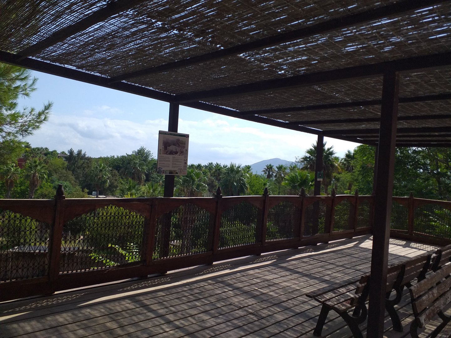 Elephant viewing area -TerraNatura Benidorm (2021)