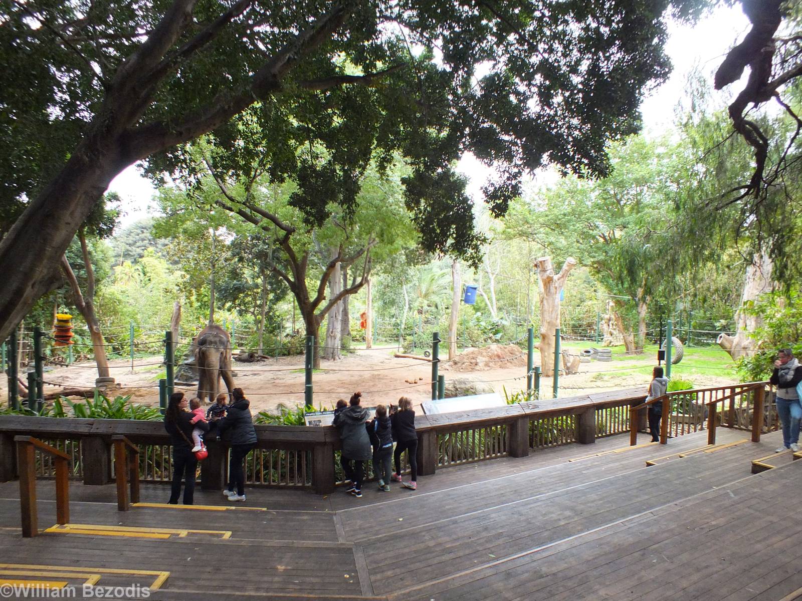 Elephant Viewing Area