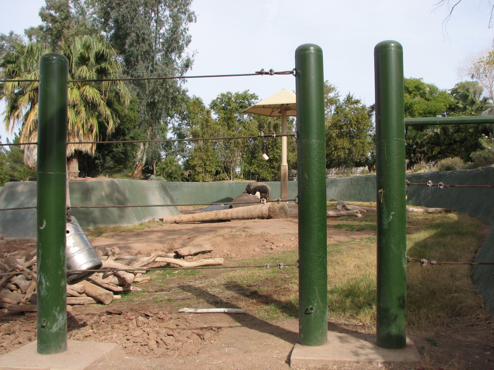 Elephant Viewing Area