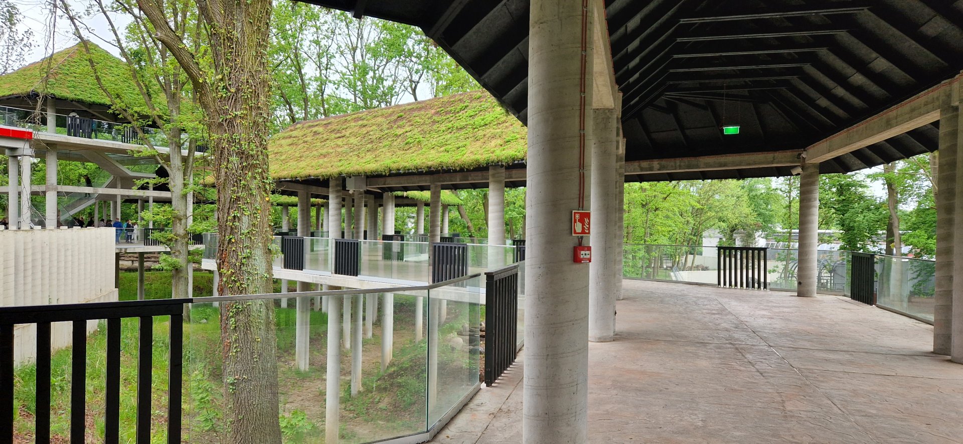 Elephant viewing platform