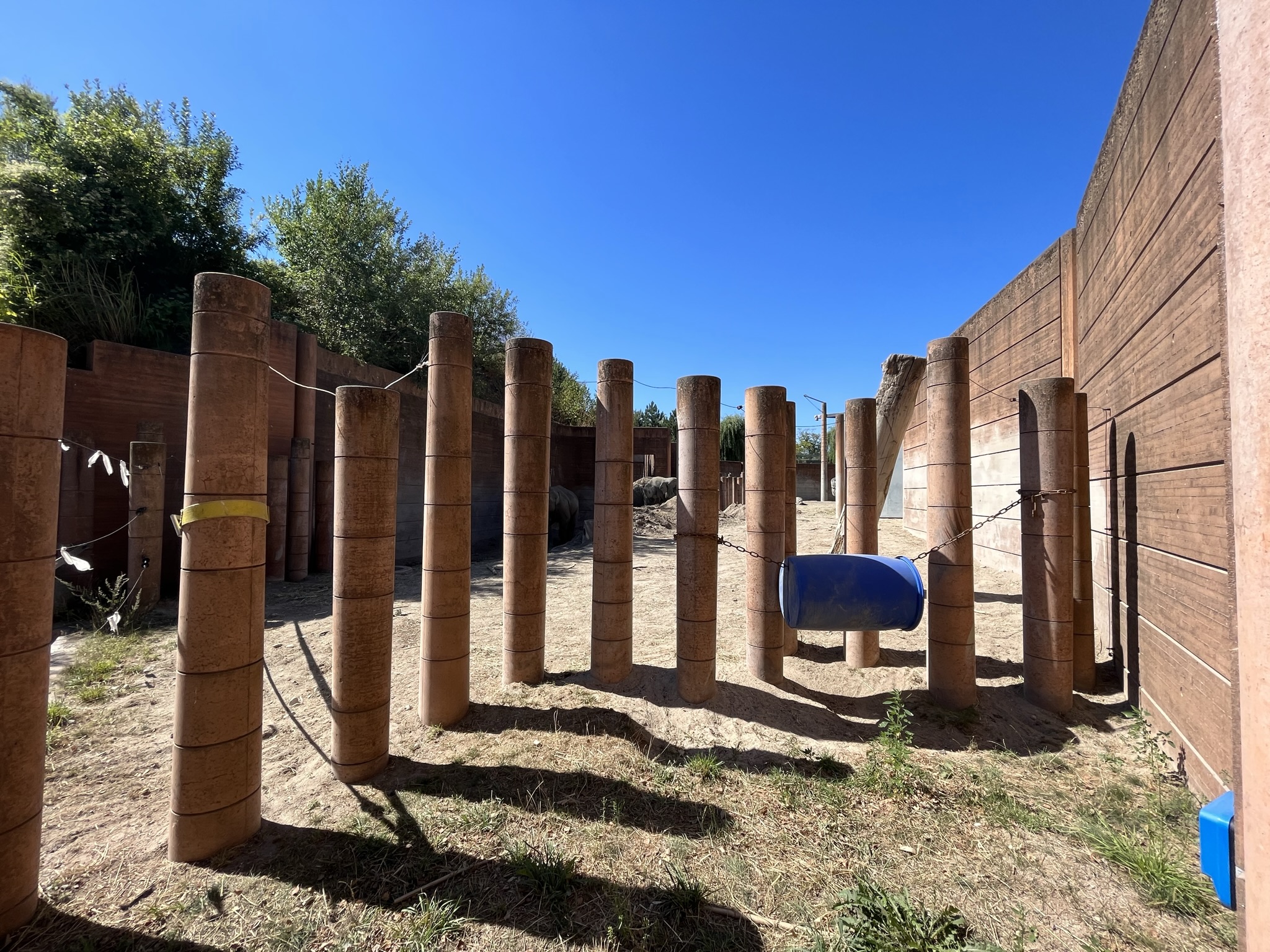 Elephant Viewing - ugh!