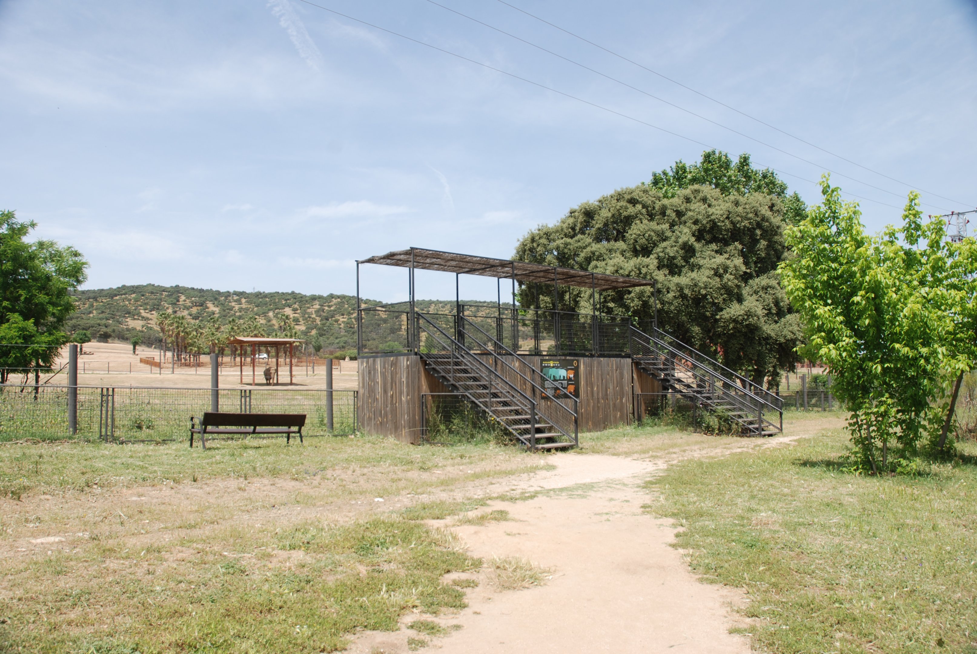 Elephant Viewpoint at Safari Madrid, 19th May 2022
