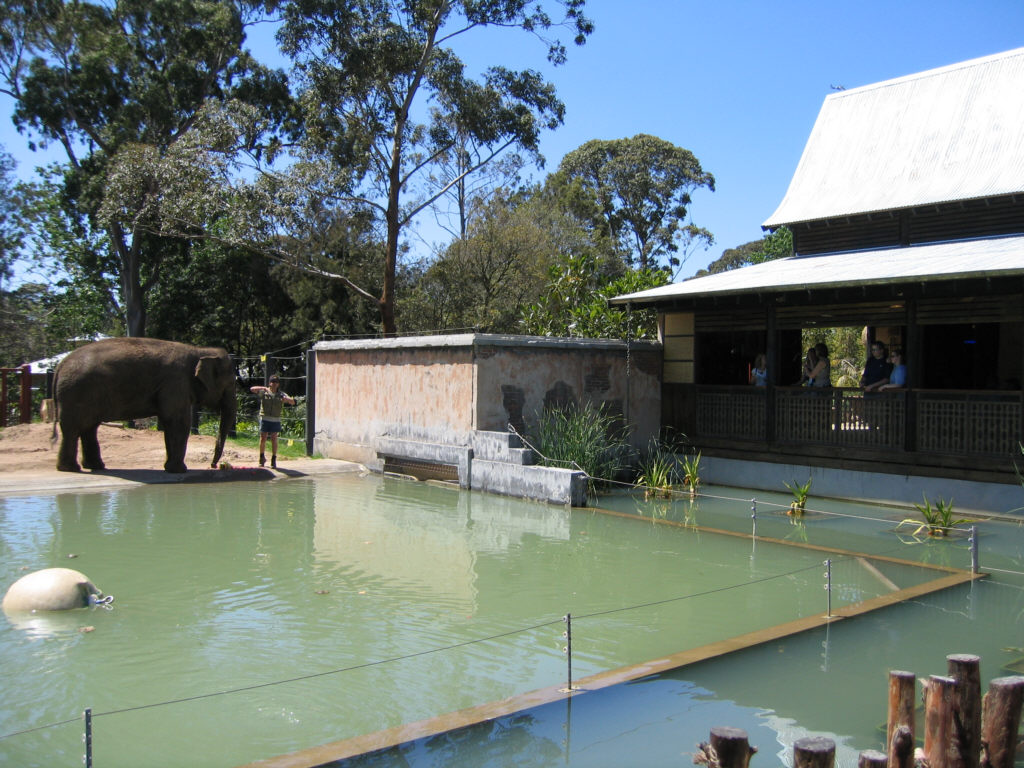 Elephant Village - Melbourne Zoo