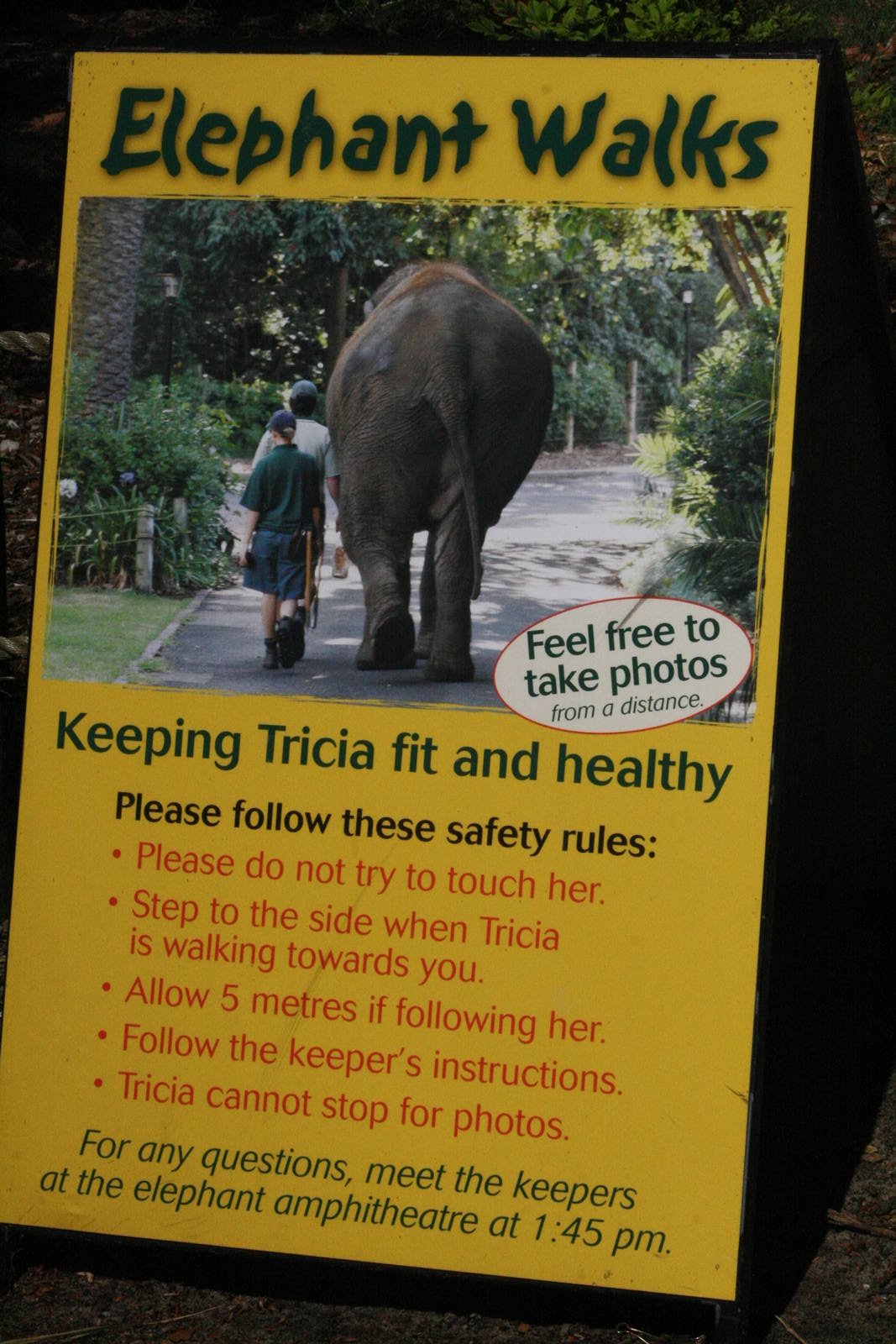Elephant walks sign.