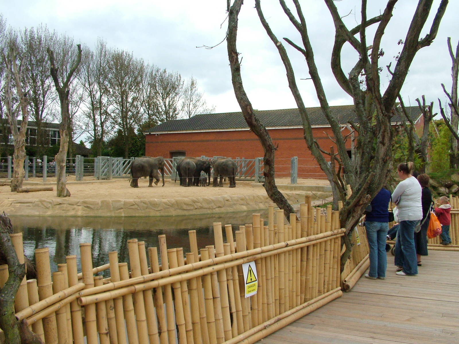 Elephant Walkway at Twycross 13/09/09