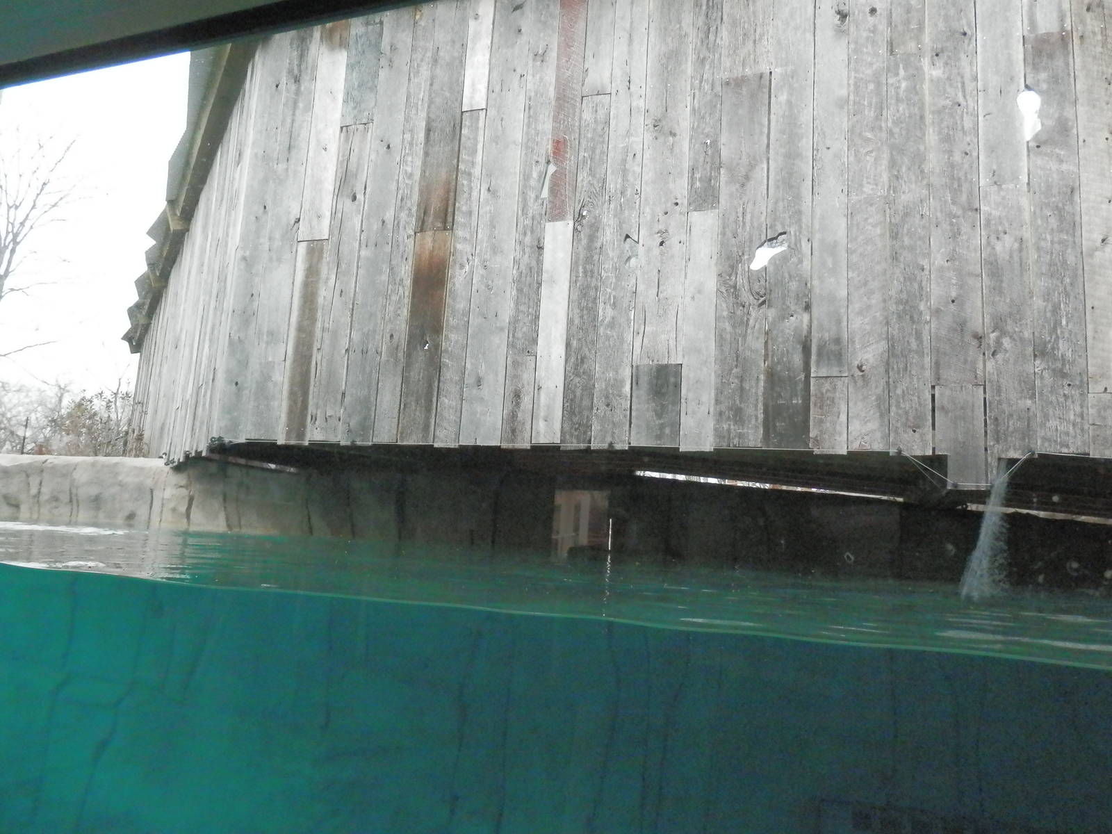 Elephant walkway covered bridge crosses over hippo aquarium