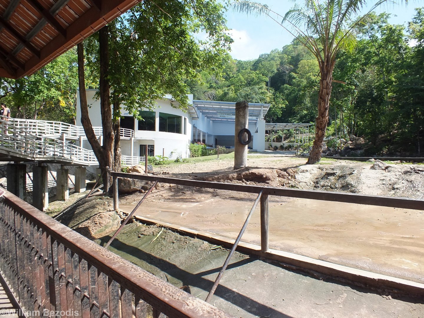 Elephant, Water Buffalo, and Hog Deer Enclosure