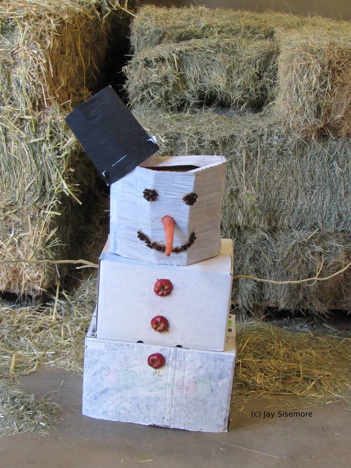 Elephant Winter Enrichment