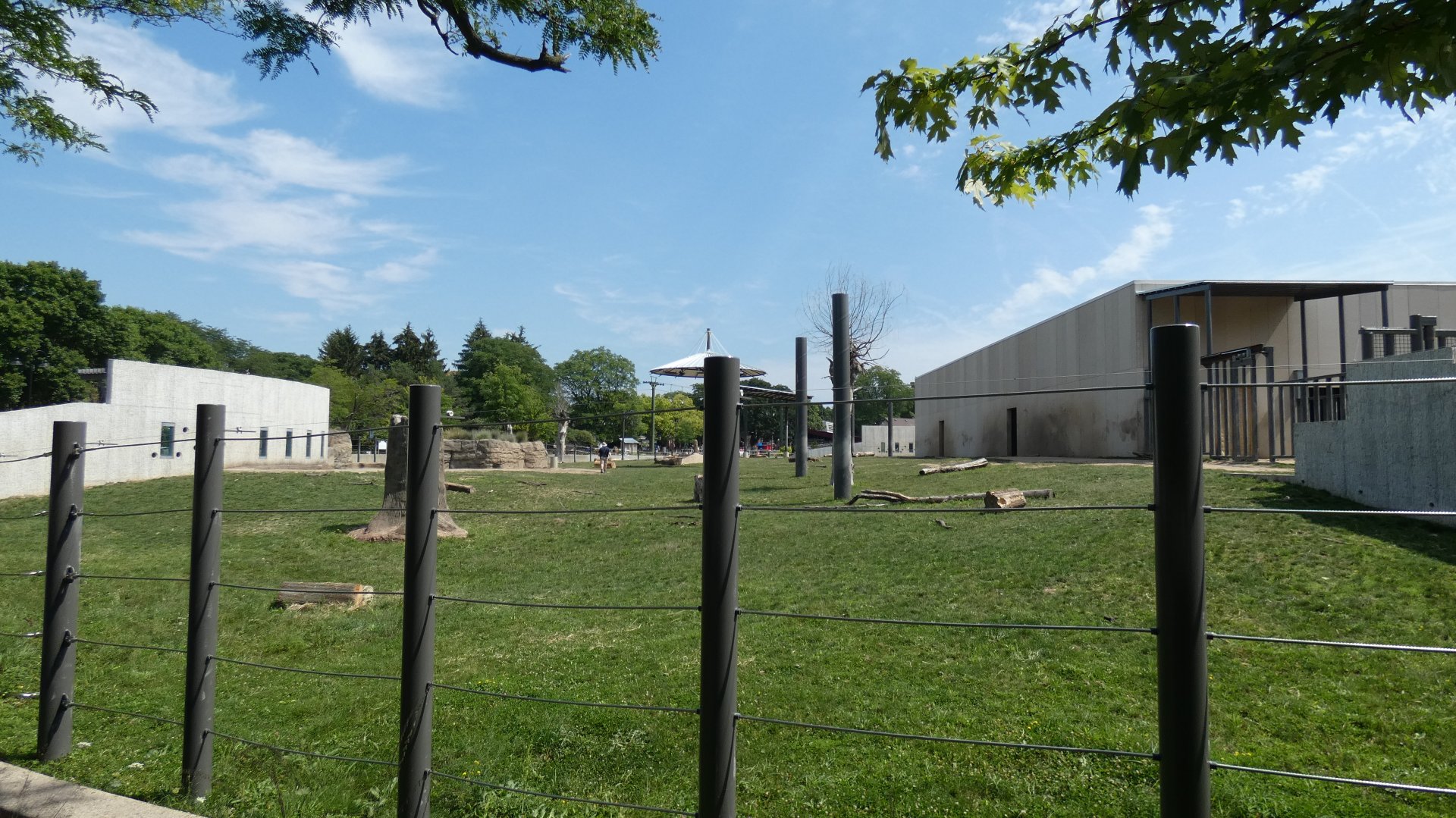 Elephant Yard, Adventure Africa - Aug. 2021