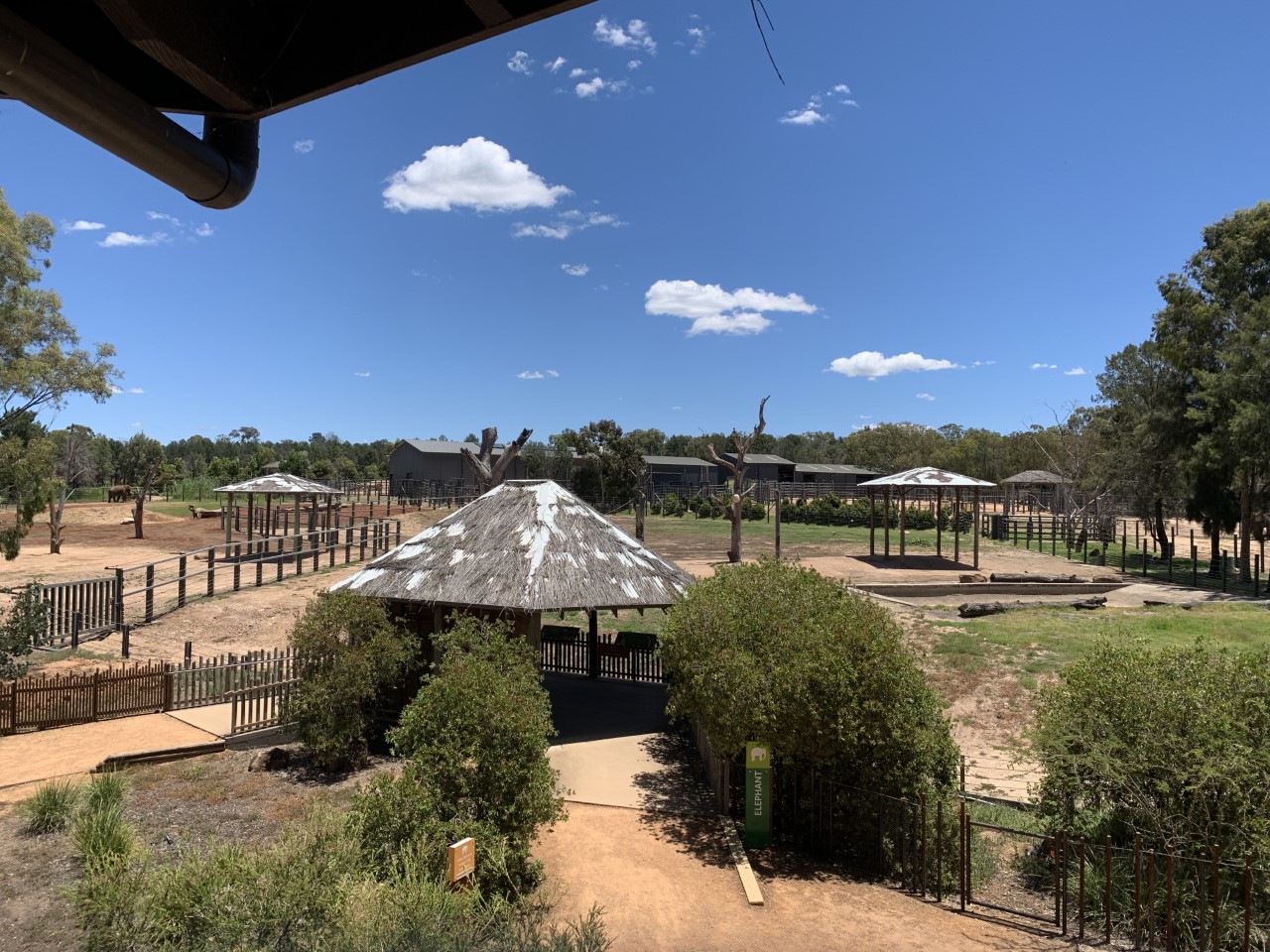 Elephant Yards from the Viewing Tower