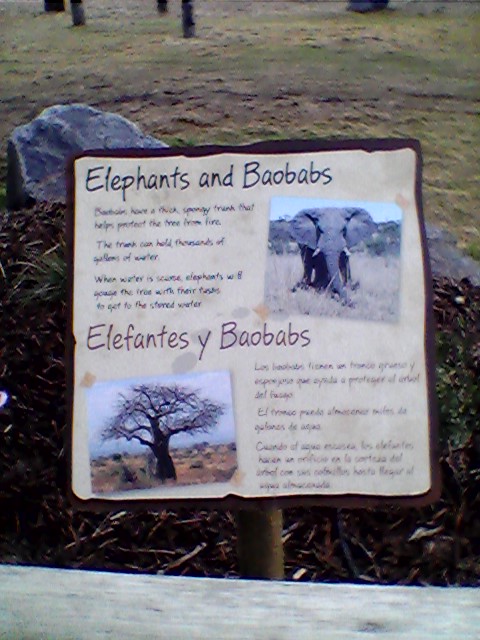 Elephants and baobabs interpretive sign