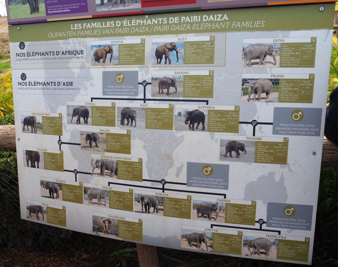 Elephants at Pairi Daiza sign, 2019-10-04