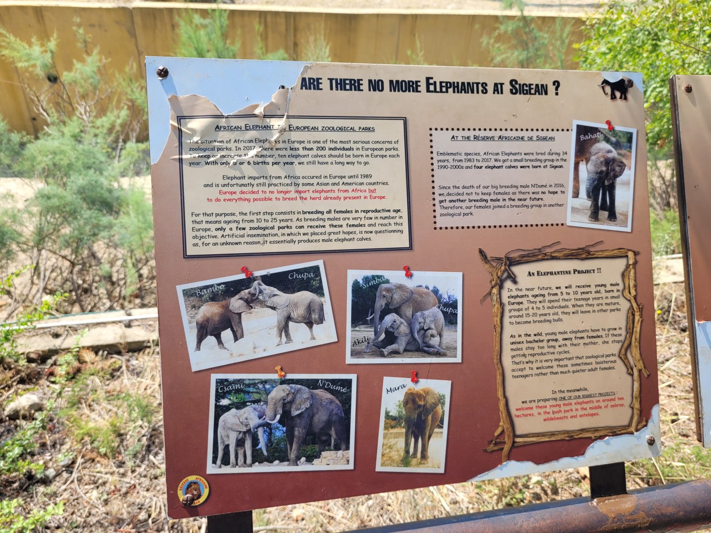 Elephants at Sigean -Réserve Africaine de Sigean (2022)