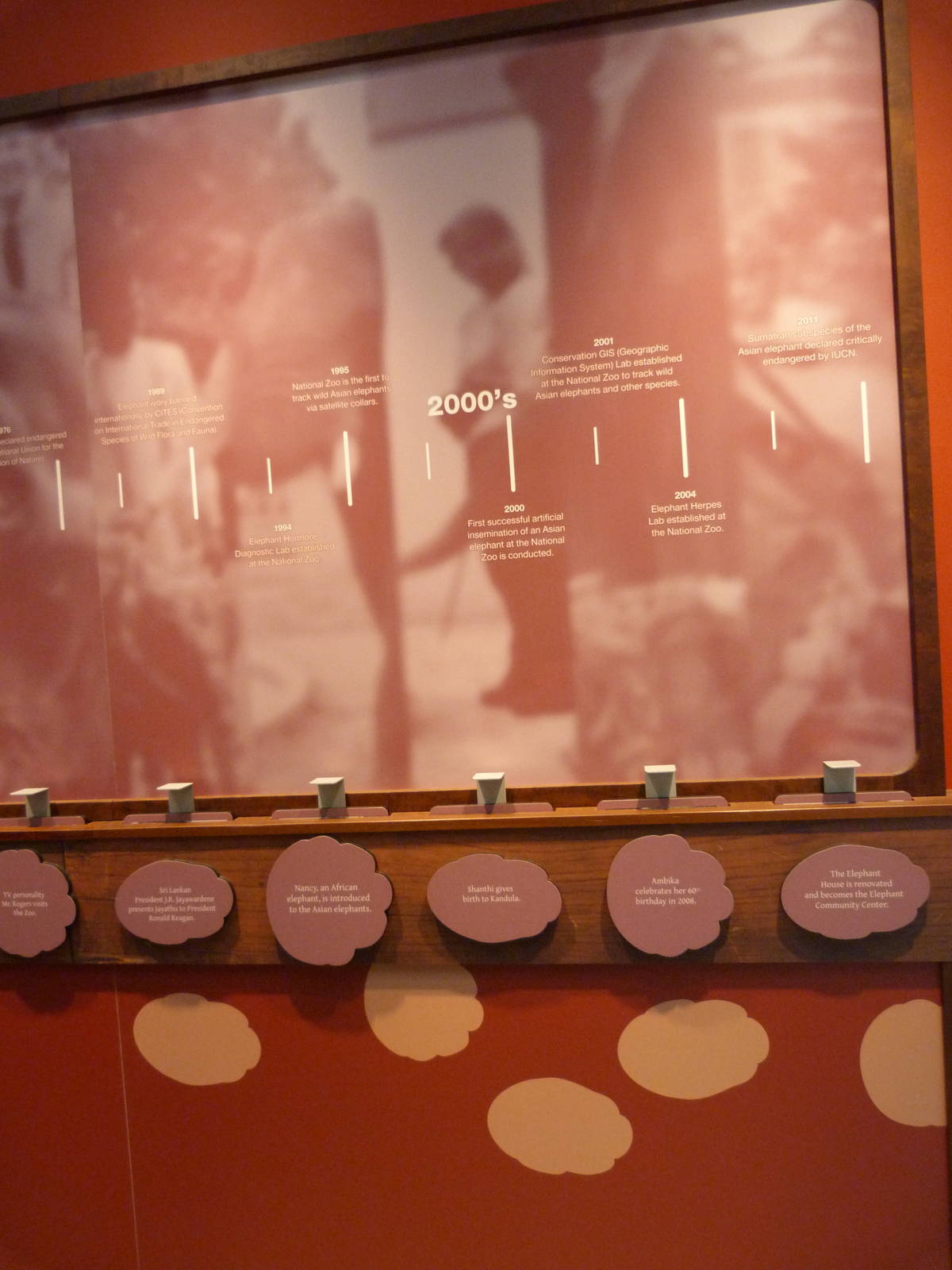 Elephants at the Zoo History