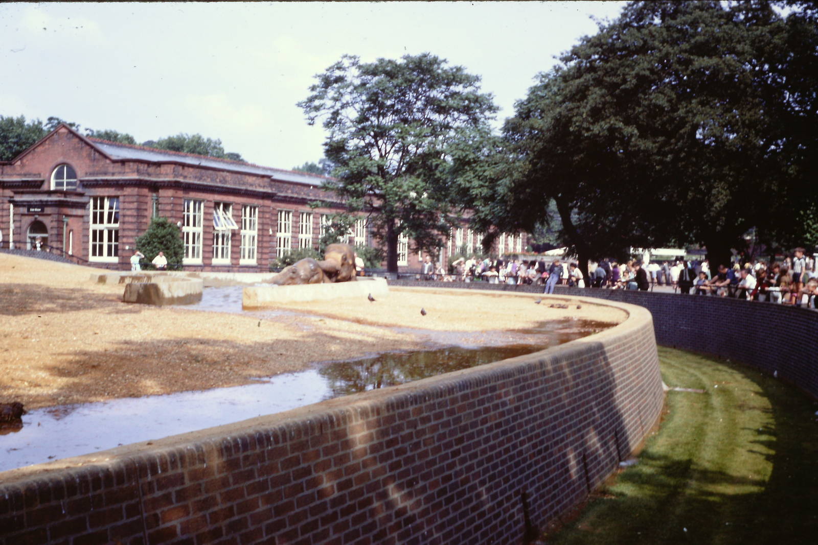 Elephants bathing, September 1967