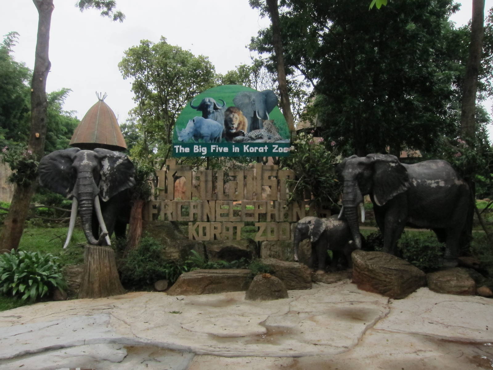 Elephants Display