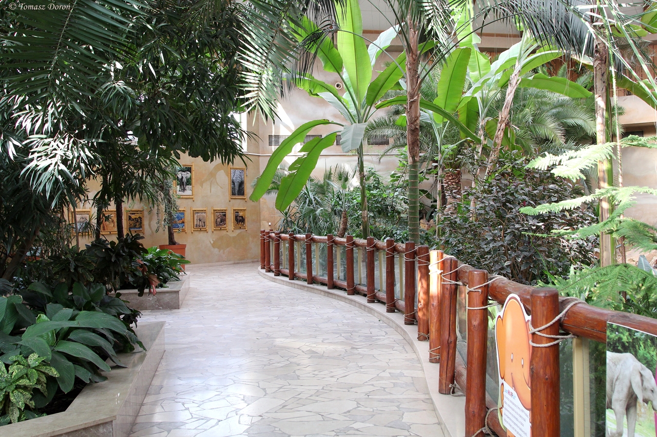 Elephants House - inside