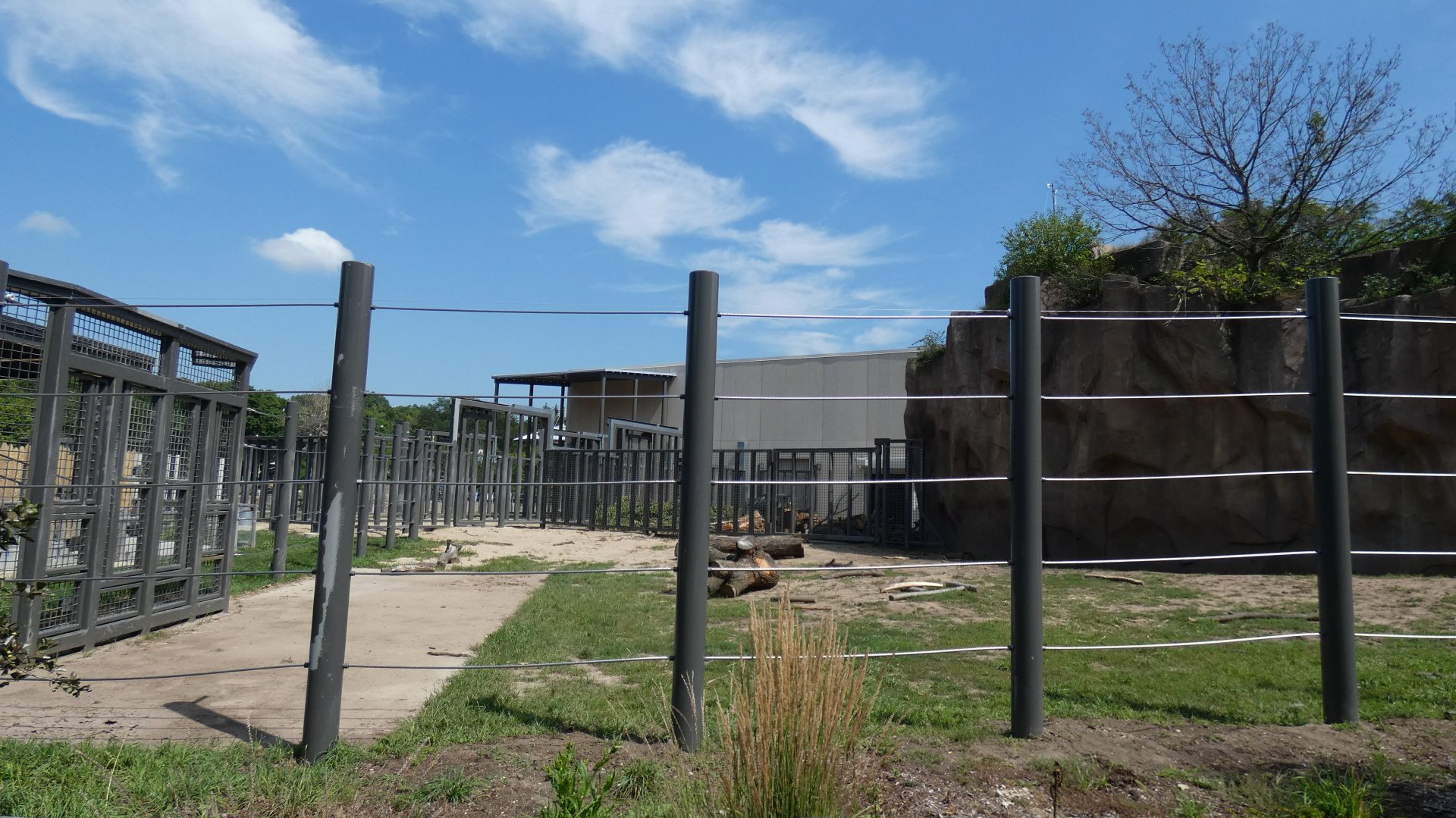 Elephants in Action Show Yard, Adventure Africa - Aug. 2021
