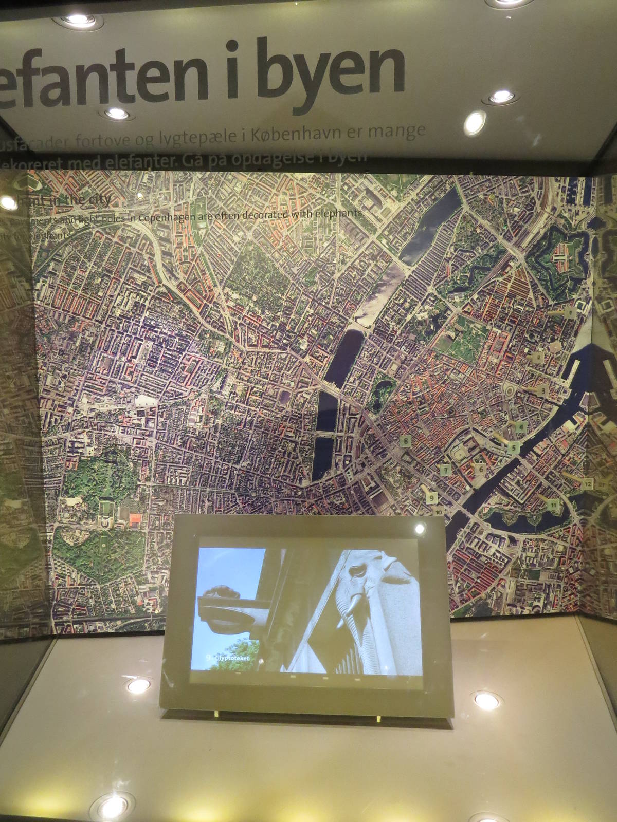 Elephants in old town, June 2015.